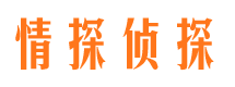 弋江市侦探公司